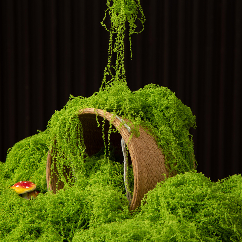 Preserved Moss Sheet - عشب الحياة الأبدية 200 جرام، نباتات