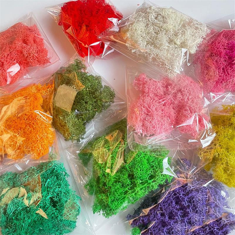 Preserved Moss Sheet - 20-200 جرام نباتات خضراء اصطناعية بوليستر