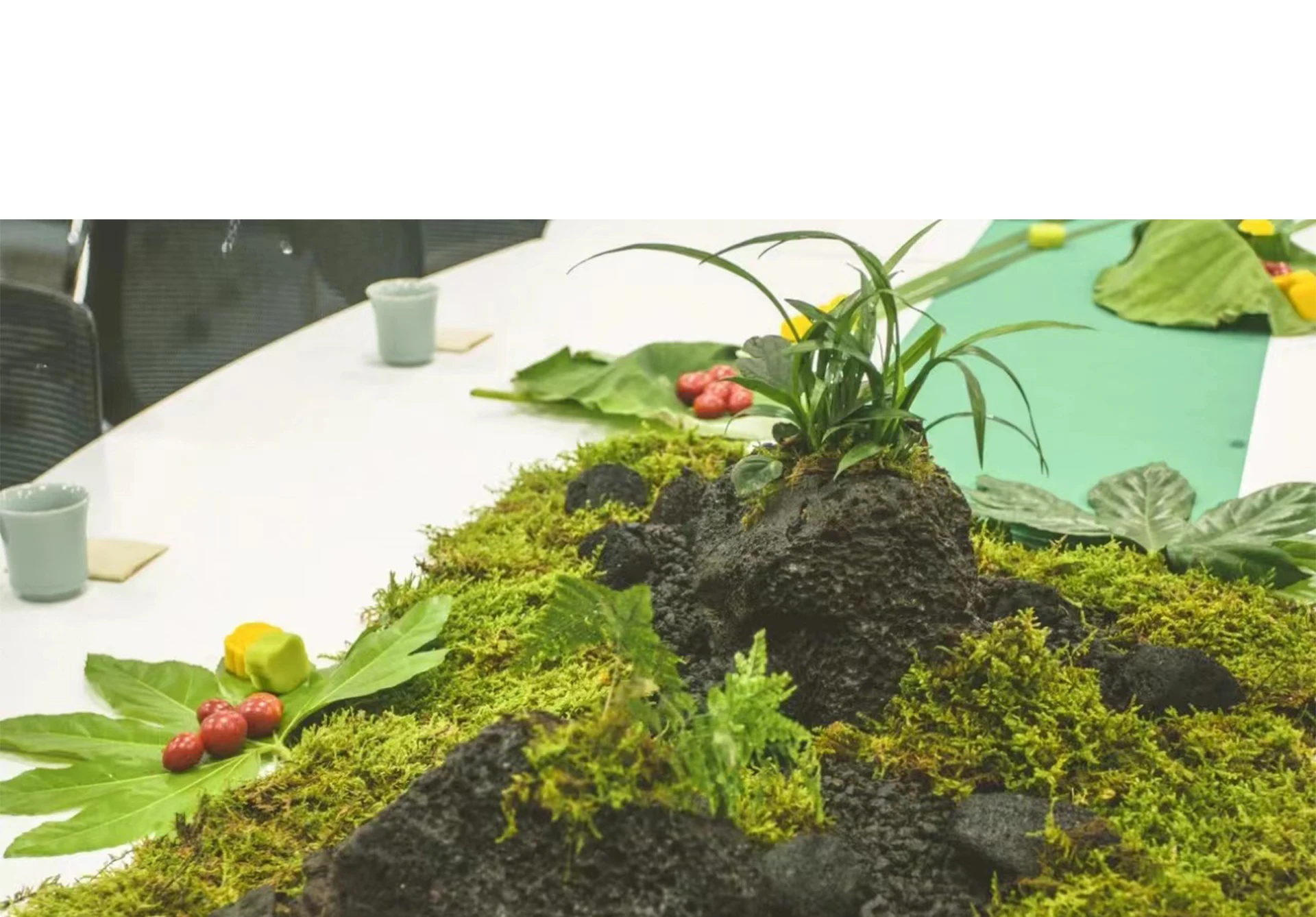 الطحلب الاصطناعي المزيف للنبات - مراجعة Preserved Moss Sheet وسعره