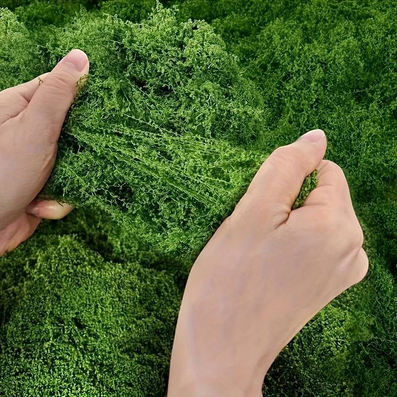 بساط طحالب صناعية أخضر مقاس 20 - مراجعة Preserved Moss Sheet وسعره