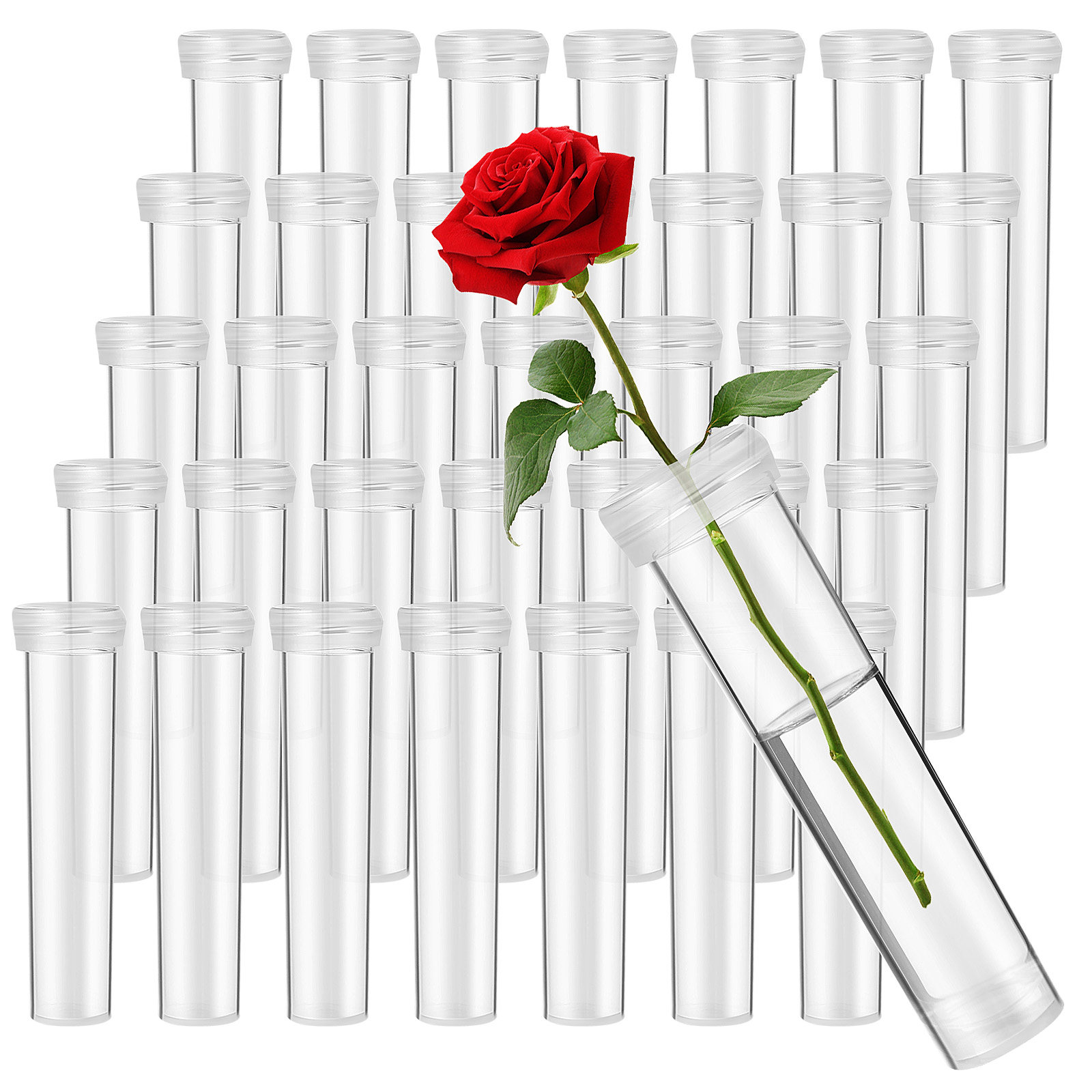100 قطعة من أنابيب تغذية الزهو - مراجعة Anda Florist Supply وسعره