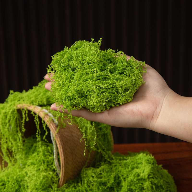 عشب الحياة الأبدية 200 جرام، ن - مراجعة Preserved Moss Sheet وسعره