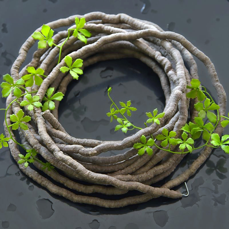 نباتات اللبلاب الاصطناعية بطول - مراجعة Preserved Moss Sheet وسعره