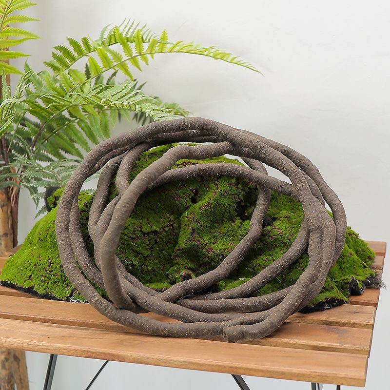 نباتات اللبلاب الاصطناعية بطول - مراجعة Preserved Moss Sheet وسعره