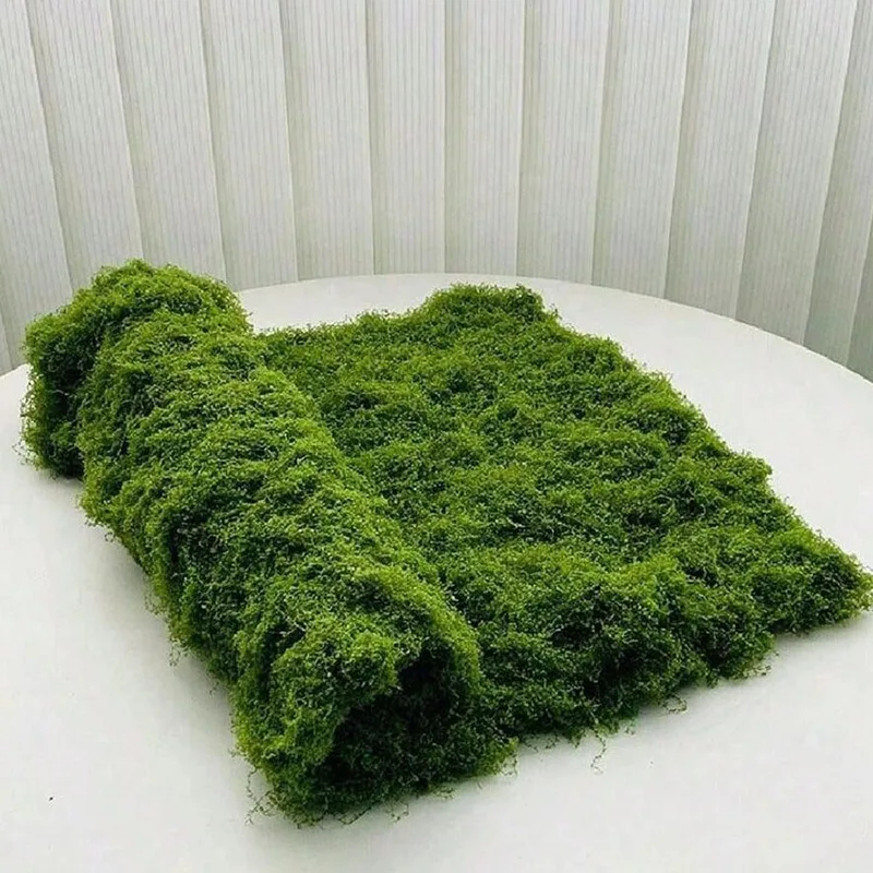 طحلب صناعي لتزيين المناظر الطب - مراجعة Preserved Moss Sheet وسعره