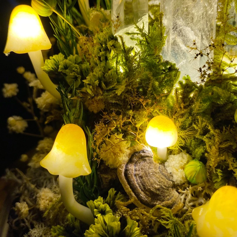 مصباح ليلي على شكل فطر، مصباح  - مراجعة Preserved Moss Sheet وسعره